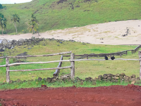 Orongo, the relevance of Easter Island. Orongo, the relevance of Easter Island.の写真素材