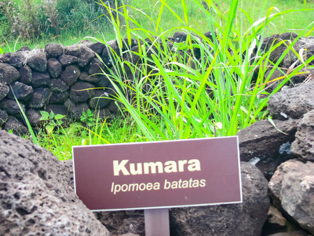 Angaroa, Easter Island, Chile - December 20, 2018: Orongo, the relevance of Easter Island. Orongo, the relevance of Easter Island.のeditorial素材
