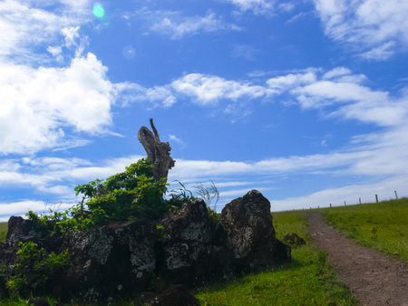 Orongo, the relevance of Easter Island. Orongo, the relevance of Easter Island.の写真素材