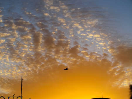 A black silhouette of a squat in the background of the sunset. Sunset and feathery clouds.の写真素材