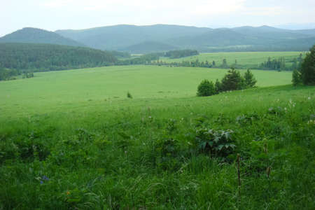 Small Bor tract, Hakkasia. Forests and meadows Khakassiaの写真素材