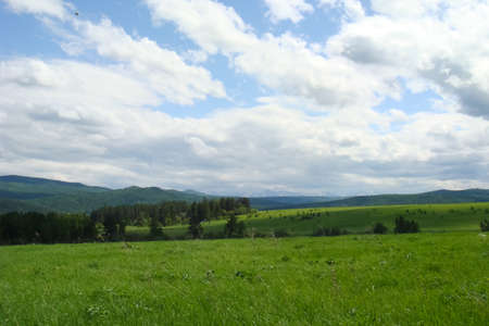 Small Bor tract, Hakkasia. Forests and meadows Khakassiaの写真素材