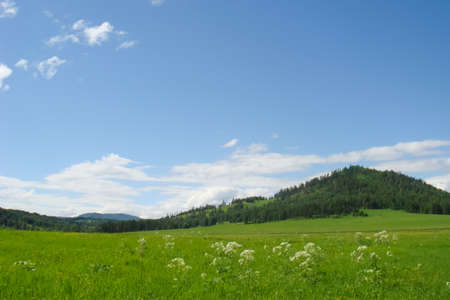 Small Bor tract, Hakkasia. Forests and meadows Khakassiaの写真素材