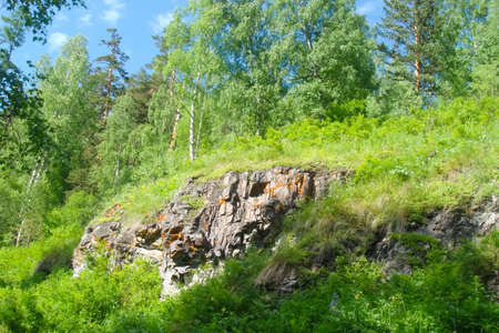 Small Bor tract, Hakkasia. Forests and meadows Khakassiaの写真素材