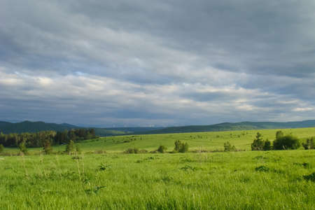 Small Bor tract, Hakkasia. Forests and meadows Khakassiaの写真素材