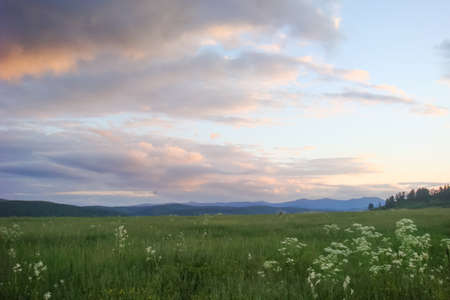 Small Bor tract, Hakkasia. Forests and meadows Khakassiaの写真素材