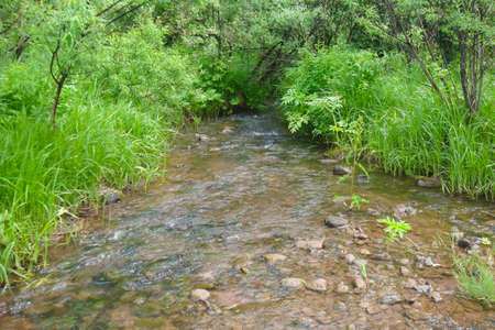 Small Bor tract, Hakkasia. Forests and meadows Khakassiaの写真素材