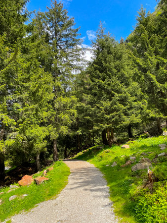 The WildeWasserWeg in the Tyrolean Stubaital, Austria, is a natural jewel worth protecting. Fascinating views and insights into the valley and its formation are revealed here. The splendor and beauty of natural landscapes are particularly impressive to see here.の写真素材