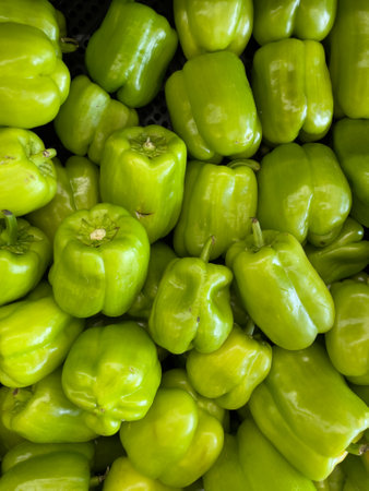 Green Capsicum is a genus of flowering plants in the nightshade family Solanaceae, native to the Americas, cultivated worldwide for their chili pepper or bell pepper fruit.の写真素材