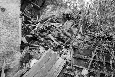 Black and white image of a collapsed building with rubble and debris. Overgrown vegetation and trees are visible in the background.の写真素材