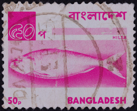 A pink and white postage stamp features a Hilsa fish illustration, Bengali text, and "Bangladesh" in English. The value is 50p.の写真素材