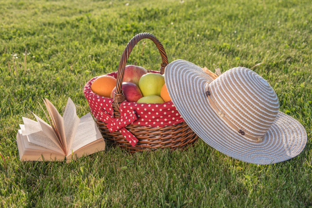 Book, hat and basket of ripe fruits on the grassの写真素材