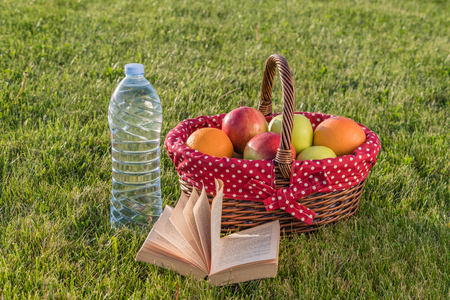 Book, bottle of water and basket of ripe fruits on the grassの写真素材