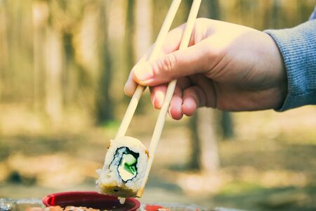 Picnic. Sushi outdoors on a summer day. Day off in the parkの写真素材