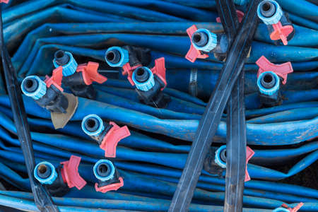 blue hoses of the drip irrigation system.の写真素材