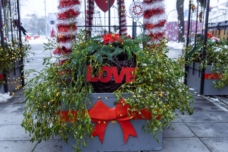 beautiful decorations from mistletoe for Christmas lettering love.の写真素材