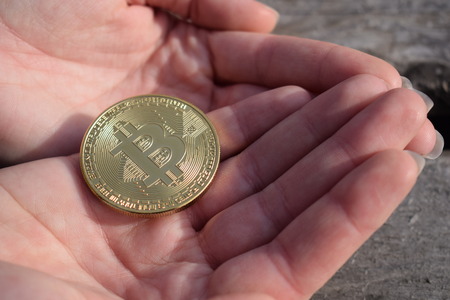 Bitcoin gold coin in female palms on a wooden background, cryptocurrency, virtual moneyの写真素材