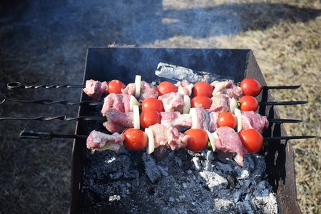 Juicy shish kebab from pork, tomatoes, fried on a fire outdoor on a background of nature.の写真素材