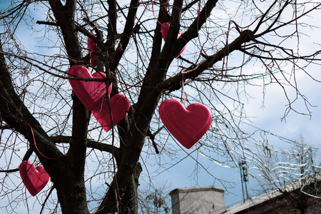Red hearts are hanging on a tree without leaves against the sky. Love concept.の写真素材