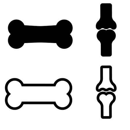 Dog bone vector icon. pet food illustration symbol or sign.のイラスト素材