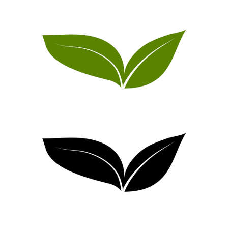 Green plant and leave icons set vector. Green plant vector icon illustration.のイラスト素材
