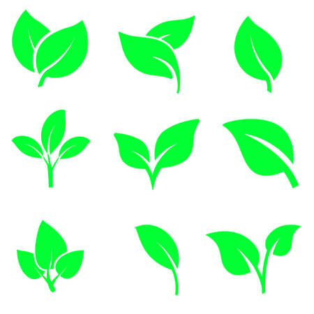 Green plant and leave icons set vector. Green plant vector icon illustration.のイラスト素材