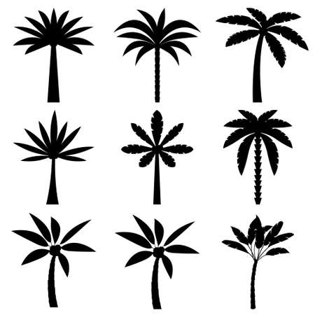 Palm tree icon vector set. beach illustration sign collection. botanical symbol. aloha logo.のイラスト素材