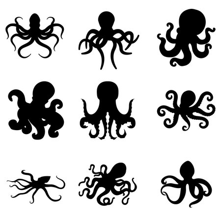 Octopus vector icon set. devilfish illustration sign collection. symbol.のイラスト素材