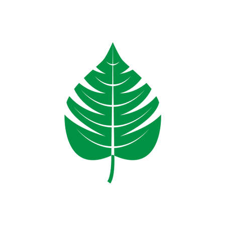 Green leaf vector icon. botany illustration sign. ecology symbol. eco sign.のイラスト素材