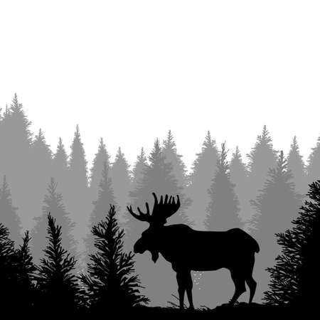 Moose In Forest vector. Moose illustration sign. Moose Scene symbol.のイラスト素材