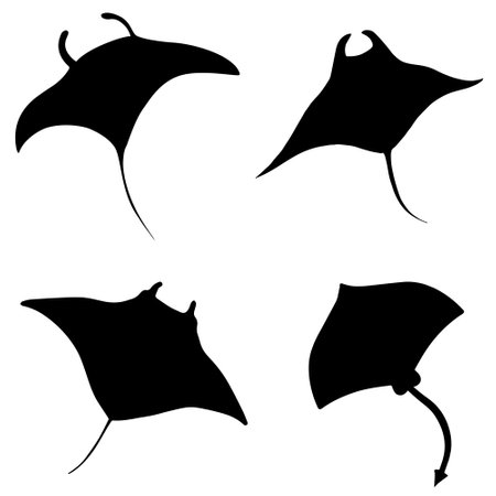 Stingray icon vector set. slope illustration sign collection. sea ââlife sign or symbol.のイラスト素材