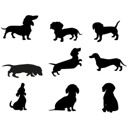 Dachshund icon vector set. Dog illustration sign collection. Home pet symbol or logo.のイラスト素材