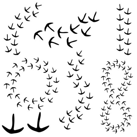 Traces of birds icon vector set. Chicken step sign collection. Footprint symbol or logo.のイラスト素材