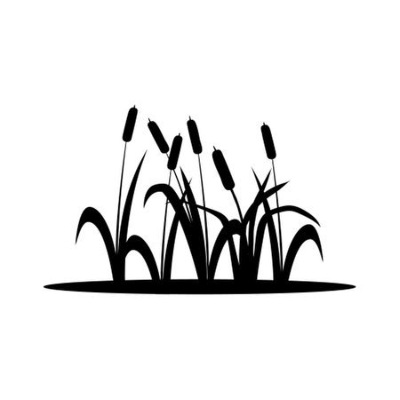 Cattail icon vector. reed illustration sign. swamp symbol. grass logo.のイラスト素材