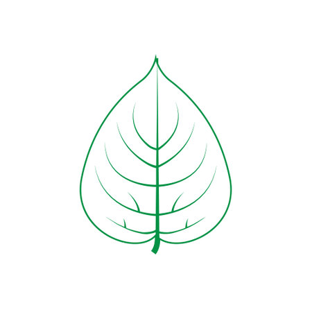 Green leaf vector icon. botanical illustration sign. ecology symbol. eco sign.のイラスト素材
