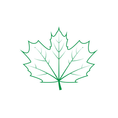 Green leaf vector icon. botanical illustration sign. ecology symbol. eco sign.のイラスト素材