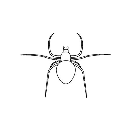 Spider vector icon. halloween illustration sign. insect symbol. spiderweb logo.のイラスト素材