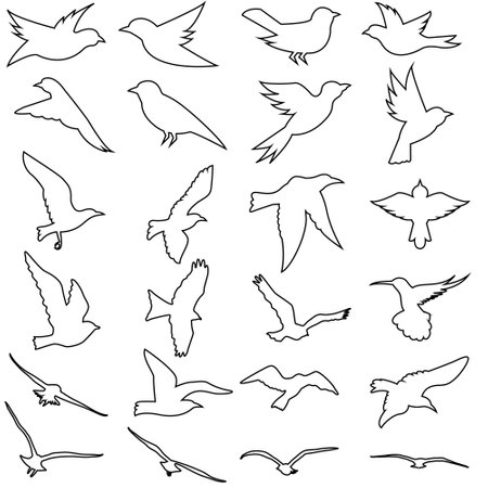 Bird icon vector set. animal illustration sign collection. nature symbol.のイラスト素材