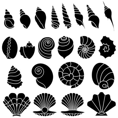 Seashell icon vector set. Shell illustration sign collection. Sea life symbol or logo.のイラスト素材