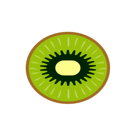 Kiwi icon vector. Fruits illustration sign. Vitamins symbol. Vegetarian logo. Food mark.のイラスト素材