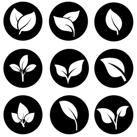 Leaf icon set. Vector illustration. Black and white colors.のイラスト素材