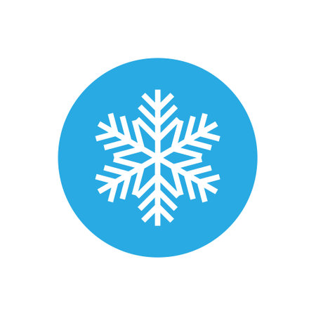 Snowflake icon. Flat design style modern vector illustration concept for web and mobileのイラスト素材