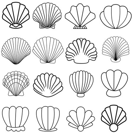 Set of seashells. Vector illustration isolated on white background.のイラスト素材