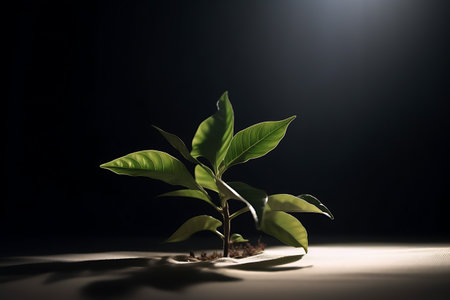 An original light background image with a of various products . AI generative.の素材