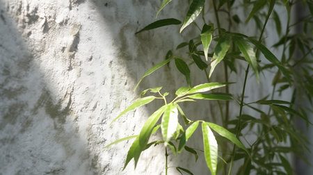 White old wall in green foliage. AI Generativeの素材