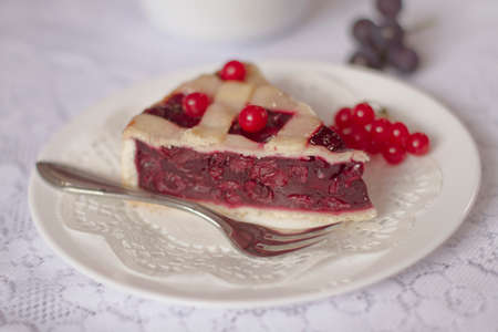 Cherry pie with viburnum berriesの写真素材