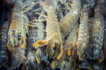 Crayfish Mantis shrimp pile in ice. Fresh seafood market.の写真素材
