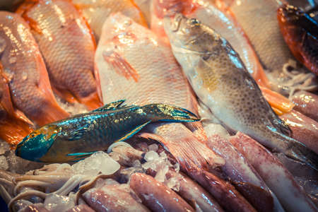 Colorful fresh tropical reef fish in the market, Thailand.の写真素材