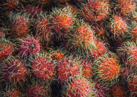 Pile of rambutan fresh fruit at market in Thailand.の写真素材