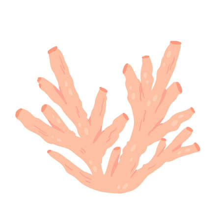 Pink coral reef, underwater ocean or sea marine life vector illustration. Cartoon exotic aquatic popular present from travel to tropical sea isolated on whiteのイラスト素材